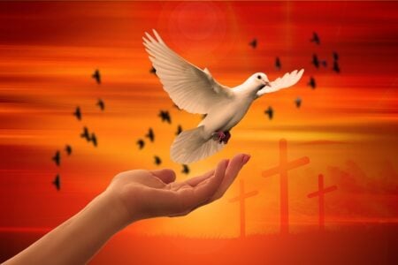 Saving Souls - 1200-800 → Which God Saves? an image of dozens of black crows flying across a red sky. In the foreground. an outstretched hand releases a white dove. A faint image of the three crosses at Jesus' crucifixion is barely visible in the lower right corner.